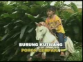 Download Lagu Burung Kutilang