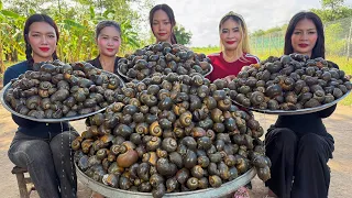 Amazing cooking boiled field snails and stir fried snails recipe in my countryside | Amazing video