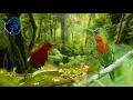 Download Lagu SUARA PIKAT DAN MASTERAN BURUNG KOLIBRI MERAK