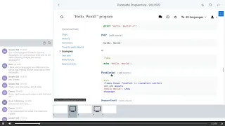 06 - Different Programming Languages And Bug-fixing in One Purposeful Programming Sept 11 2022
