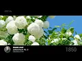 Beautiful Classical Melodies In 432 Hz | Bach, Chopin, Liszt, Beethoven, Rachmaninoff, Debussy