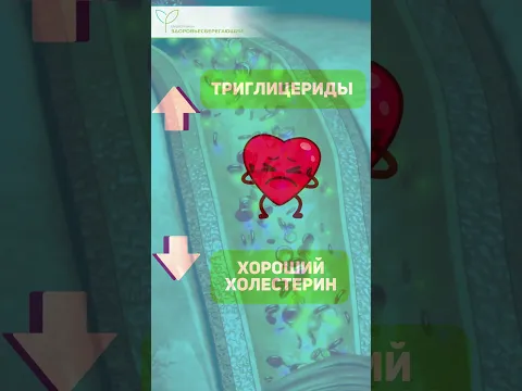 Почему «нормальный» уровень холестерина не гарантирует здоровье сосудов