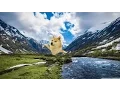 Doge Miner Hack OP EQUIPMENT