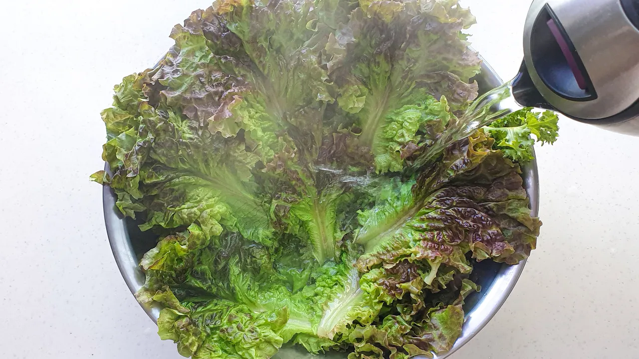 상추 된장무침과 상추 된장국