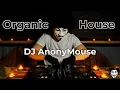 Download Lagu Candlelight Organic Vibe by DJ AnonyMouse