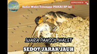 Download Yang Mau Sedot Walet Tetangga ‼️Suara Panggil Walet Sedot Jarak Jauh‼️@BerkatWaletOfficial MP3