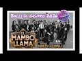 Lagu EL MAMBO LLAMA  || Arthur Hanlon, Guaynaa || Coreo AMA Dance || Balli di Gruppo 2026