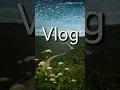 Download Lagu MBB - Beach Vlog nocopyright background music | download free