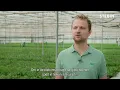 Flexoplossing Original Plants - Statische capaciteitsbeperking