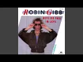 Download Lagu Robin Gibb - Boys Do Fall In Love [Audio HQ]