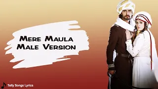 mere maula song lyrical video male version razia sultan
