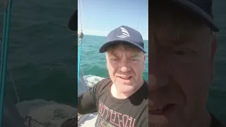 we’re off! Champaign Sailing with our #hydrovane