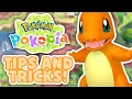 I Wish I Knew These Pokopia Beginner Tips Sooner