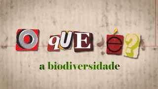 O que é: a biodiversidade