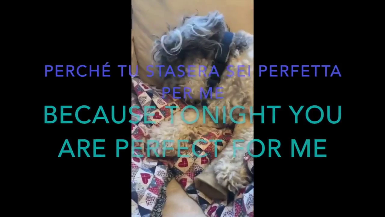 Ed SHEERAN AND ANDREA BOCELLI - PERFECT SYMPHONY -  LYRICS! TRANSLATION!