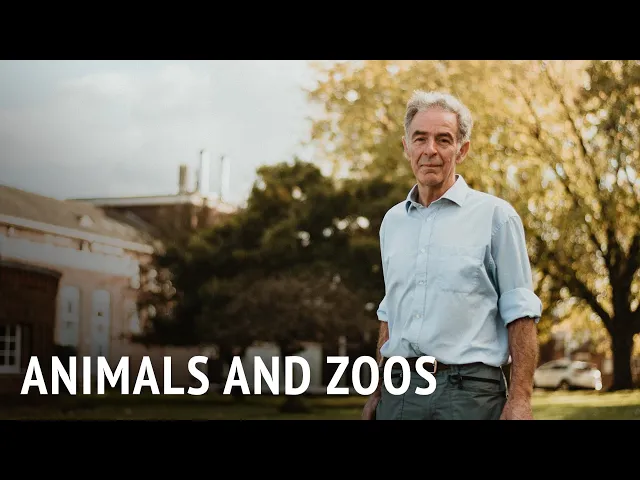 Animals and Zoos | Dr Murray Corke