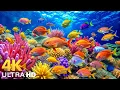 Download Lagu Underwater Wonders 4K - Relaxing Ocean Aquarium Video with Colorful Coral Reefs \u0026 Sea Animals
