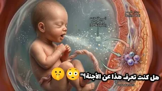 كيف يعمل قلب الجنين داخل الرحم 🔥🔥
