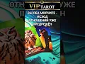 Download Lagu 😲🔥💯 ЕСЛИ ВЫ ОБА МОЛЧИТЕ ЧТО ТОГДА ЖДЁТ ДАЛЬШЕ  🔮 расклад таро гадание для мужчин психология