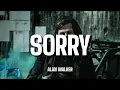 Alan walker \u0026 ISÁK - Sorry (Remix) [official music video]