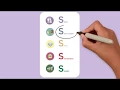 5S - Set in Order