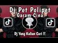 Lagu DJ PET POLIPET GARAM CINA X MAGIC VOICE VIRAL TIKTOK 2025