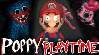 Mario Plays Poppy Playtime Chapter 1 2 