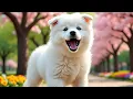 Download Lagu Puppy Sounds For Dogs Reaction | Puppy Barking Sound Effect