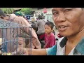 Download Lagu SPIL PASAR BURUNG PETEKAN SURABAYA.