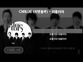 CNBLUE (씨엔블루) - 외톨이야 [가사/Lyrics]