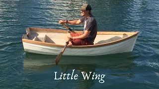 Sailing Avocet: Meet Little Wing