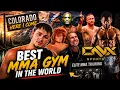I TRAINED AT THE BEST MMA GYM IN THE WORLD - VLOG WEEK