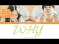 Tradução Janet Suhh– Why (Prod. by Nam Hye Seung)[Our Beloved Summer Nosso Eterno Verão  OST Part 6]