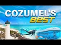 Skip the Tourist Traps Best Cozumel Tours Locals Recommend
