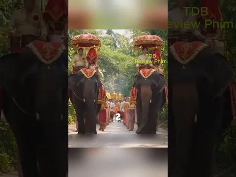 CÔ GÁI CỨU CON QUẠ BỊ MẮC KẸT, VÀ LỜI DẶN CỦA NÓ ĐÃ THAY ĐỔI CẢ CUỘC ĐỜI CÔ #reviewphim