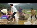 Download Lagu Daily Life Of 18-Year-Old Single Mother Using Farm Machinery To Dig Pond – Preparing To Release Fish