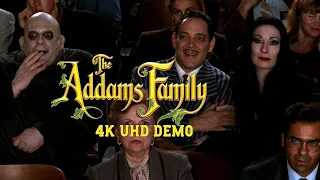 the addams family 1991 4k ultra hd demo high def digest