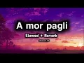 Lagu A mor pagli cg song lyrics | Slowed Reverb | #cgsong