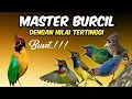 Lagu Menang mutlak !! MASTERAN BURCIL FULL TEMBAKAN SUPER MEWAH‼️