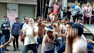 فرحت التركي بميت الحوفين دندنها