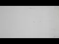 Drying of White Paint