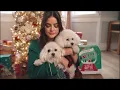 PetSmart Commercial 2023 Featuring Lucy Hale