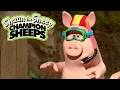 Download Lagu Swimming | Championsheeps Games | Shaun the Sheep