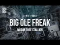 Megan Thee Stallion - Big Ole Freak