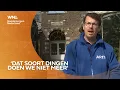 Dierentuin vol feestvarkens, ARTIS bestaat 185 jaar: 'Vroegen konden chimpansees touwtjespringen'