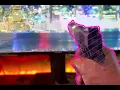 Download Lagu Morphing Nerf Gun