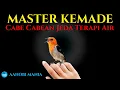 Download Lagu MASTER KEMADE CABE CABEAN Jeda Terapi Air AMPUH