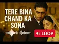 Tere Bina Chand Ka Sona (Loop) – Guru | Aishwarya Rai | Abhishek Bachchan