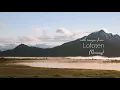 relaxdaily - N°114 (light and calm music for studying, focus, think, heal, grow)