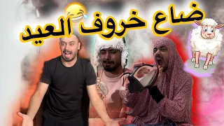 ضاع خروف العيد وملك طلعلها حبة العيد 😂🐑Ahmad Mahroom